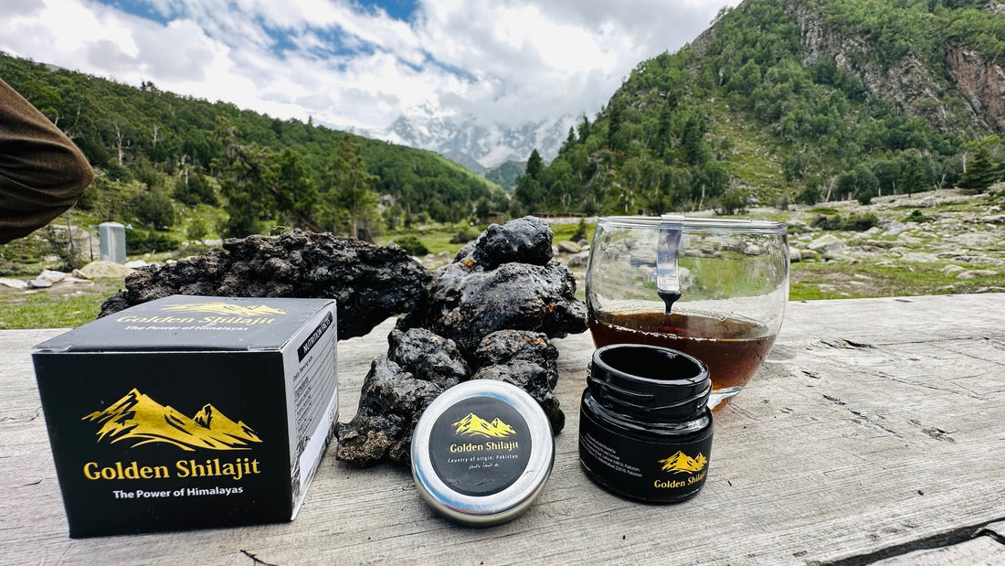 10 Reasons Why You Should Use Shilajit