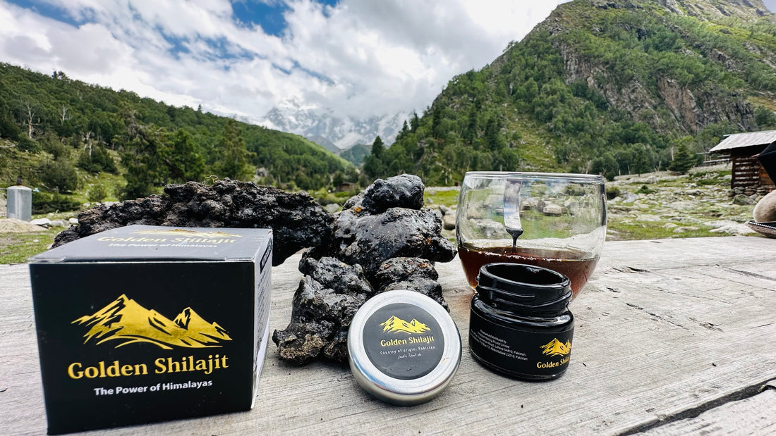 What is shilajit?