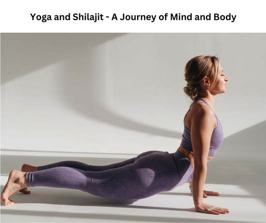 The Ancient Connection: Yoga and Shilajit - A Journey of Mind and Body